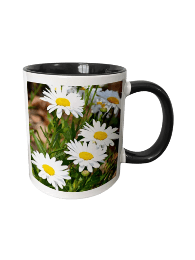 Pretty White Daisies - Flowers - Two Tone Black Mug, 11 oz (UPC-ASIN- VFZQ)
