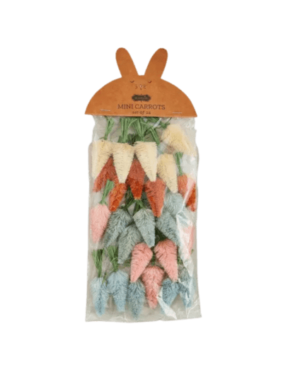 Mud Pie Brush Carrot Filler; 3" (UPC-7424)